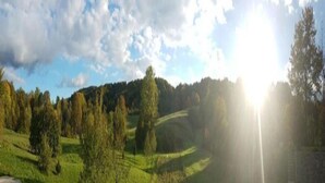A rural landscape with rolling hills, trees, and a clear sky.