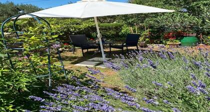 Cozy countryside apartment in Bristane