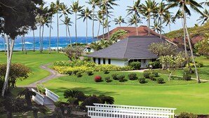 Un terrain de golf avec une maison et des palmiers.