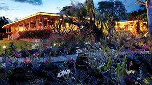 Un bâtiment doté d’un espace extérieur abrité, entouré de diverses plantes et fleurs.