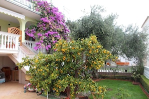 Property grounds - Serene retreat near Beach Malo Vitra (Vodice)