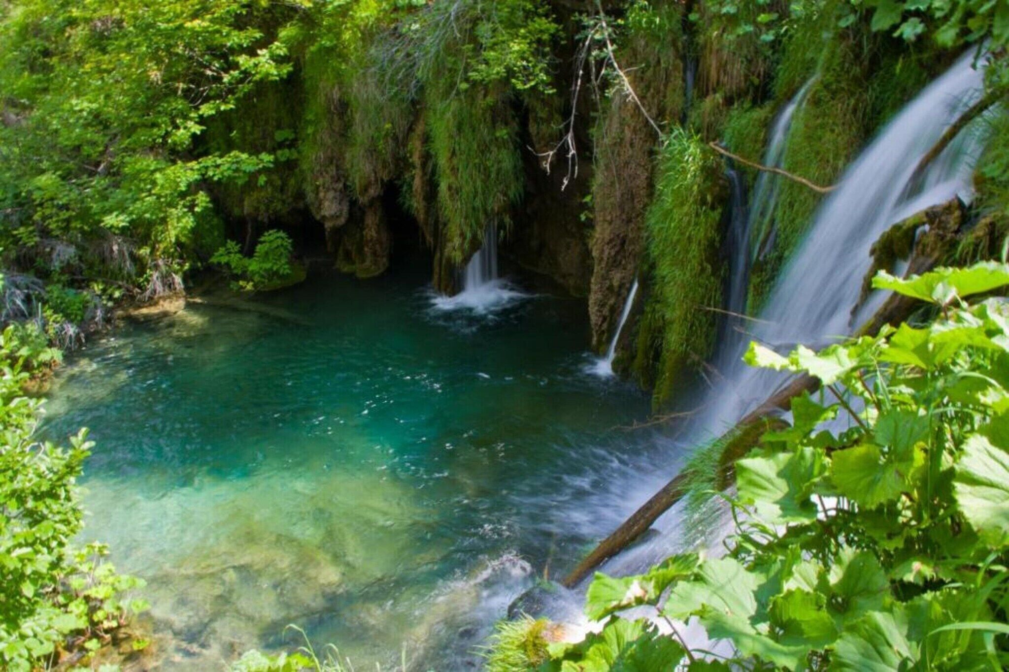 A natural waterfall surrounded by lush greenery.