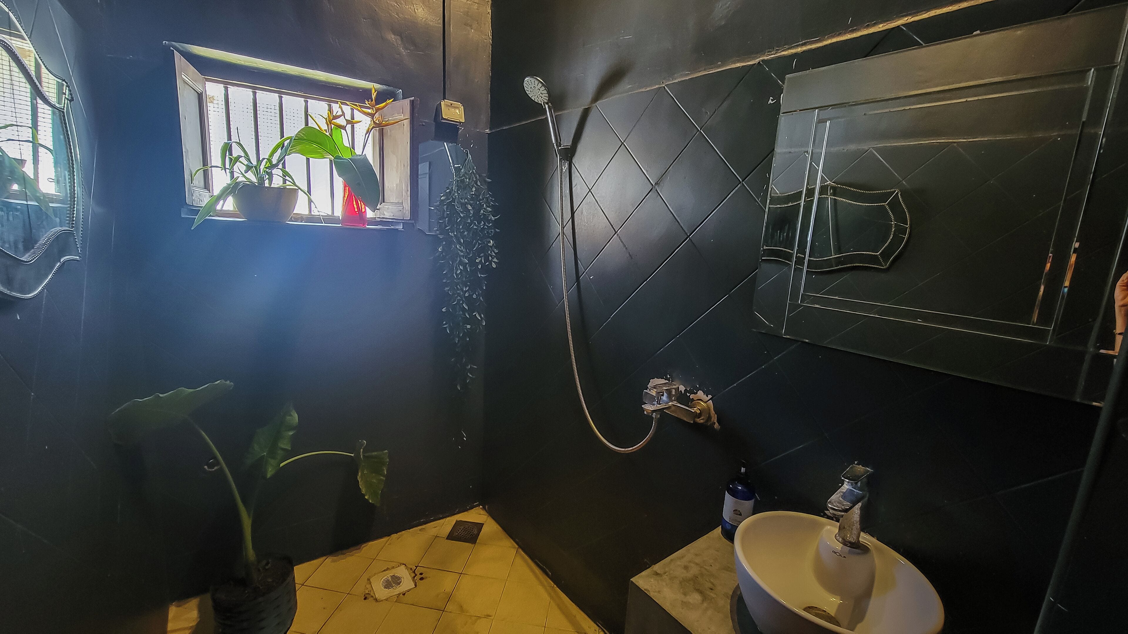 A bathroom with a shower, a sink, and a window with plants.