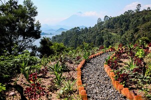 Vila premium, vista para o lago | Vista para o lago