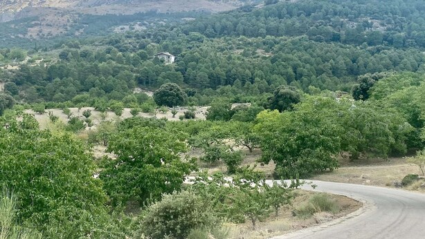 منوع