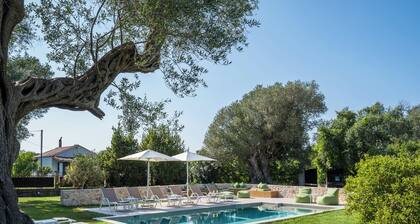 The Olive Project - Villa Maria with Private Pool by Konnect