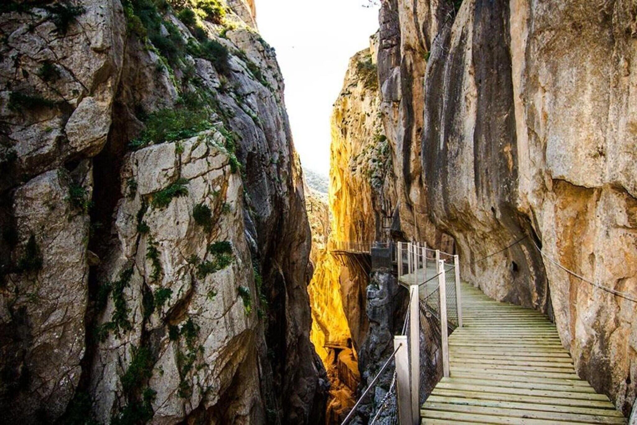 Eine schmale, felsige Schlucht mit einer Holztreppe, die hinabführt.