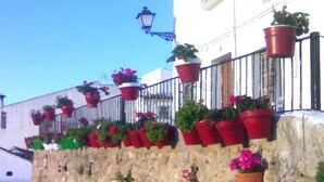 A stone wall with red flower pots and potted plants.