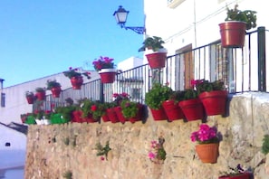 Detalle exterior