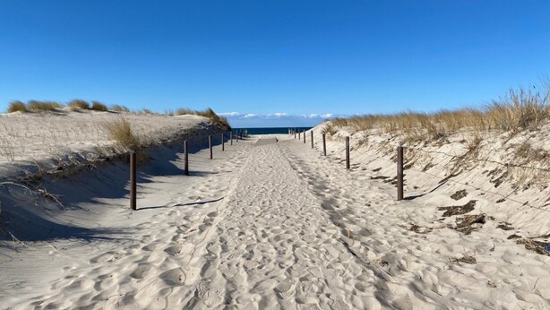 A sandy pathway leading to a beach with a clear blue sky.