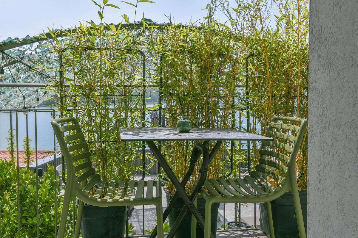 Une table et des chaises sont disposées à l’extérieur, offrant une vue sur une étendue d’eau et sur la verdure en arrière-plan.