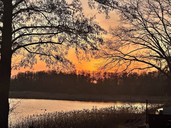 Solnedgang over en sø med træer silhouetteret mod himlen.