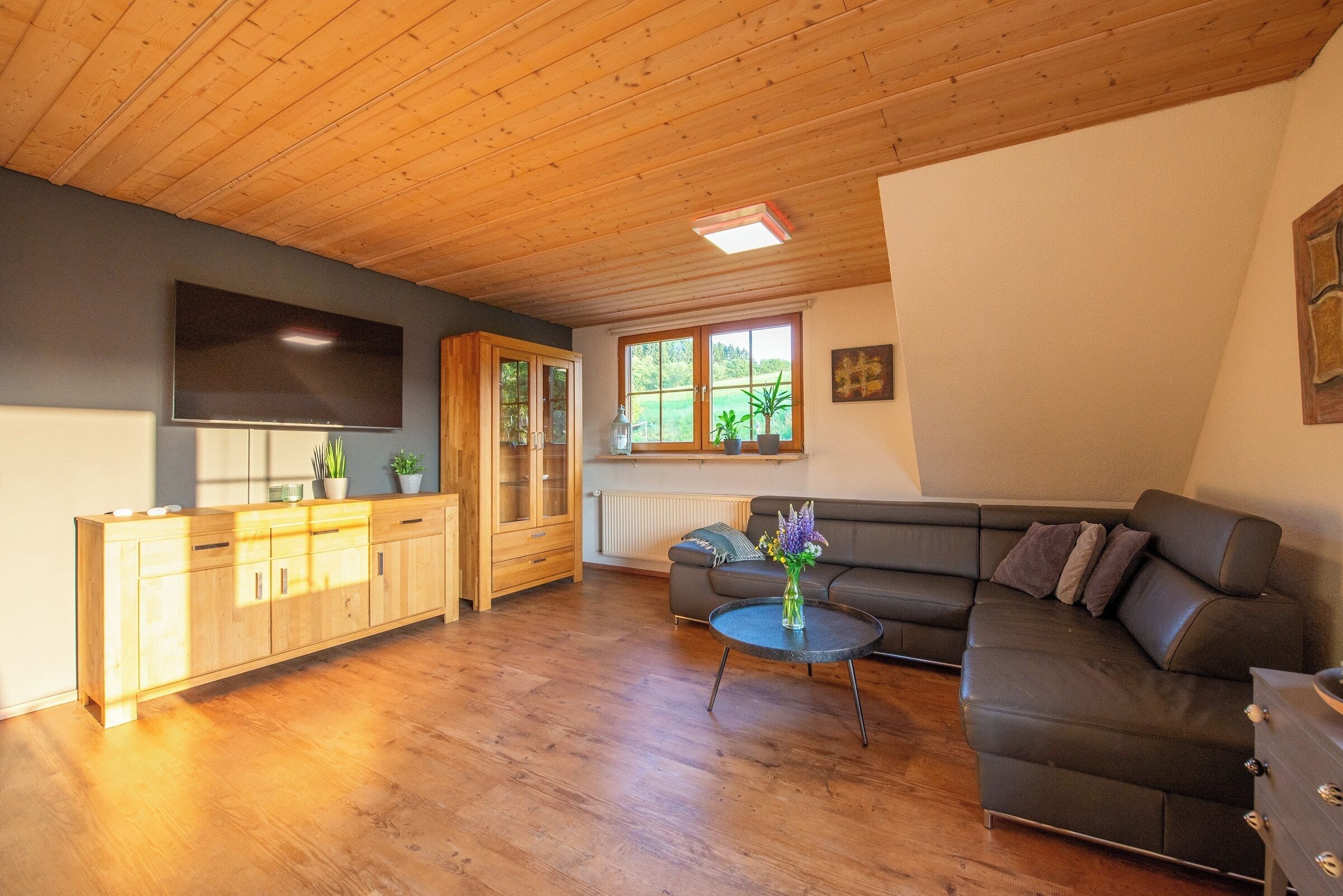 Télévision, cheminée