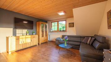 Televisie en een open haard