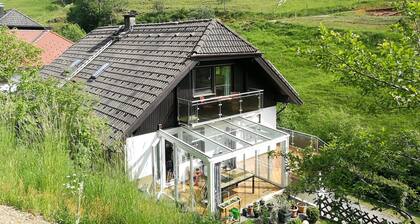 Apartment 'Glashütte' with Mountain View, Balcony and Wi-Fi