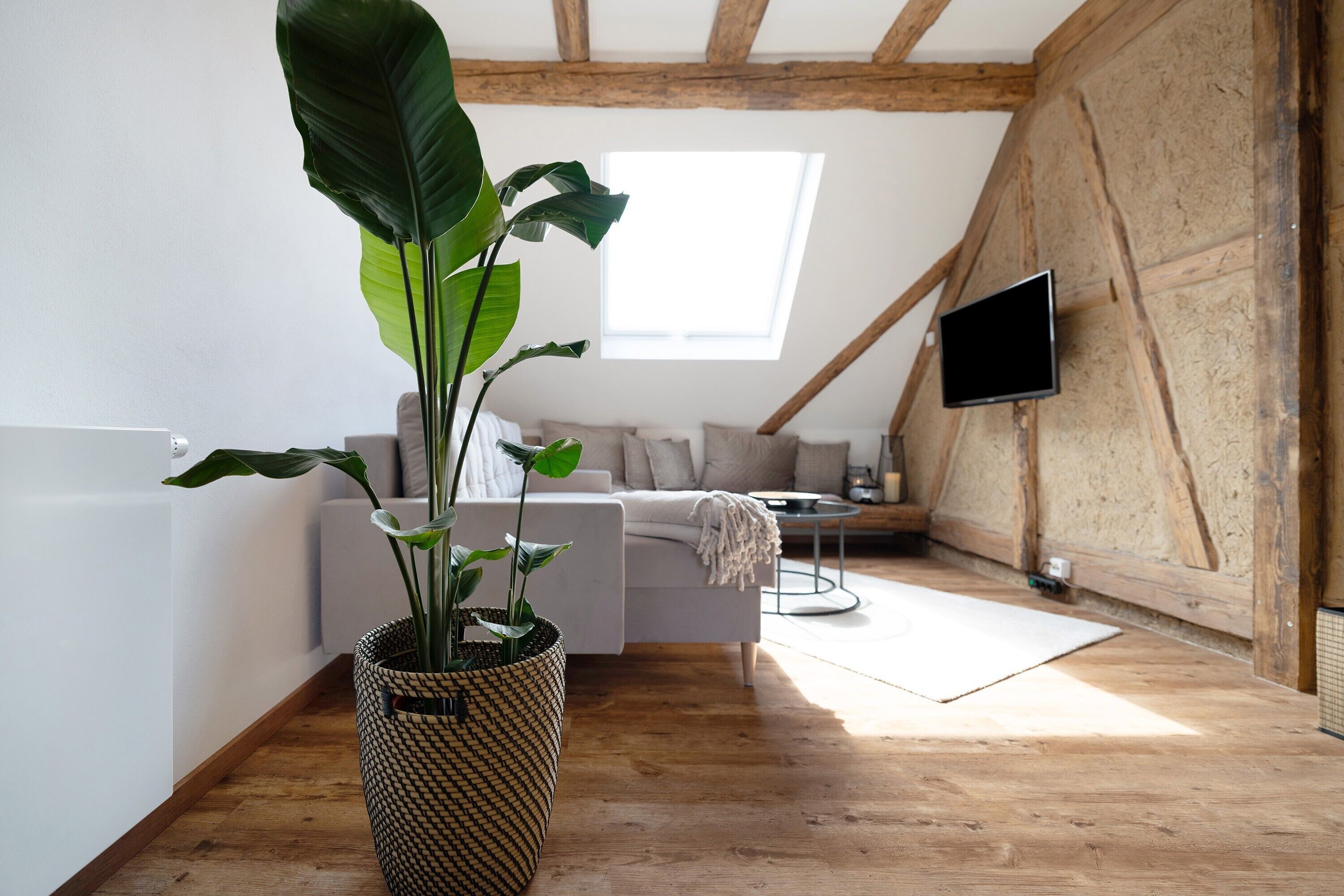 Fernseher, Stereoanlage