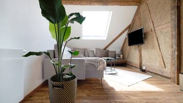 Fernseher, Stereoanlage