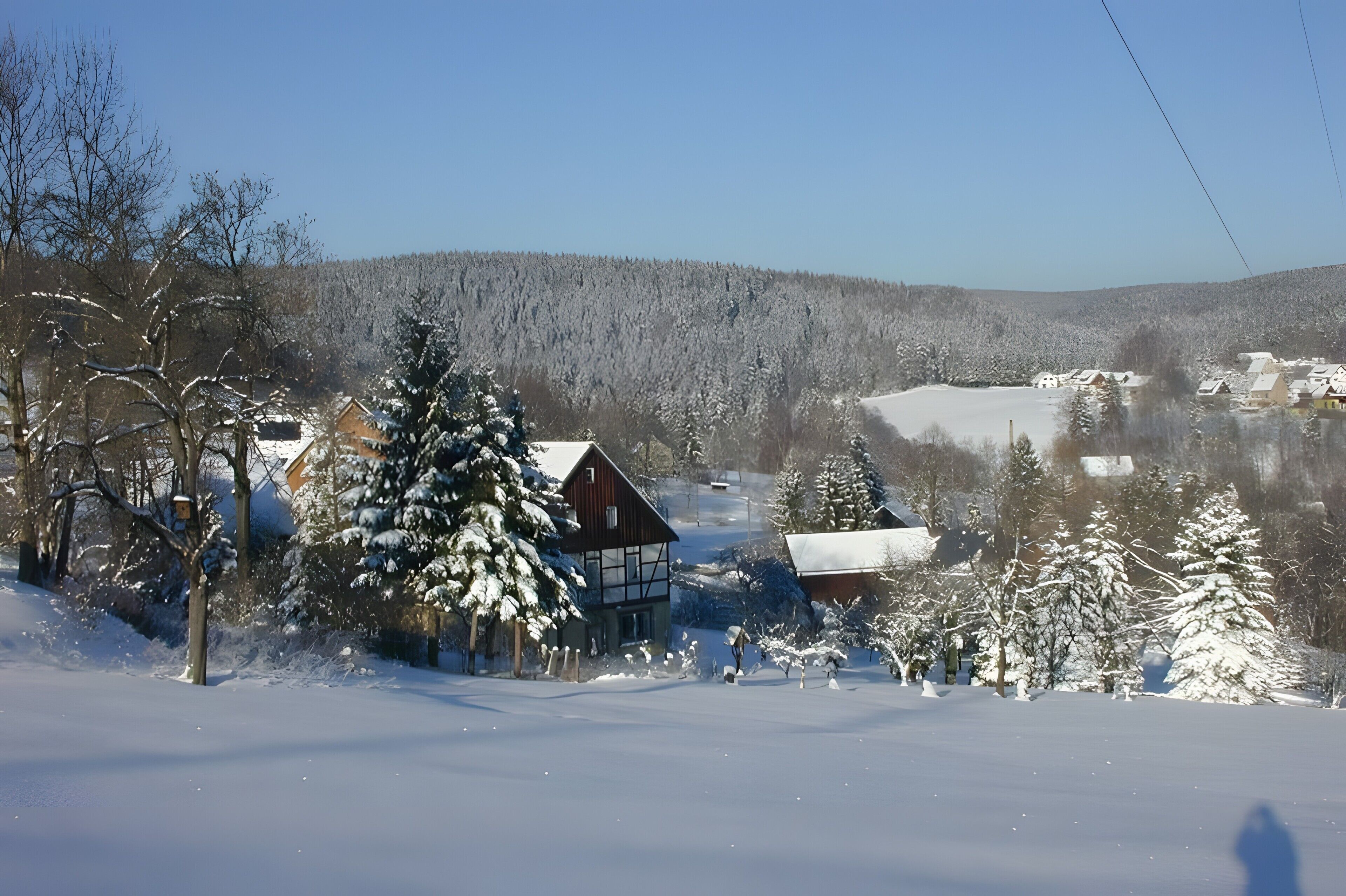 Un paysage enneigé avec des maisons et des arbres.