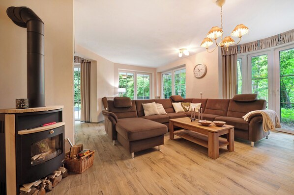 TV, fireplace, video games, DVD player