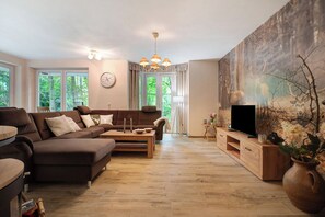 TV, fireplace, video games, DVD player