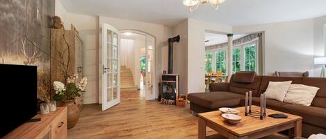 Televisión, chimenea, videojuegos y reproductor de DVD