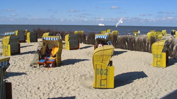 A beach with yellow beach chairs and umbrellas, a sandy beach, and a clear blue sky.