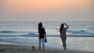 Playa en los alrededores