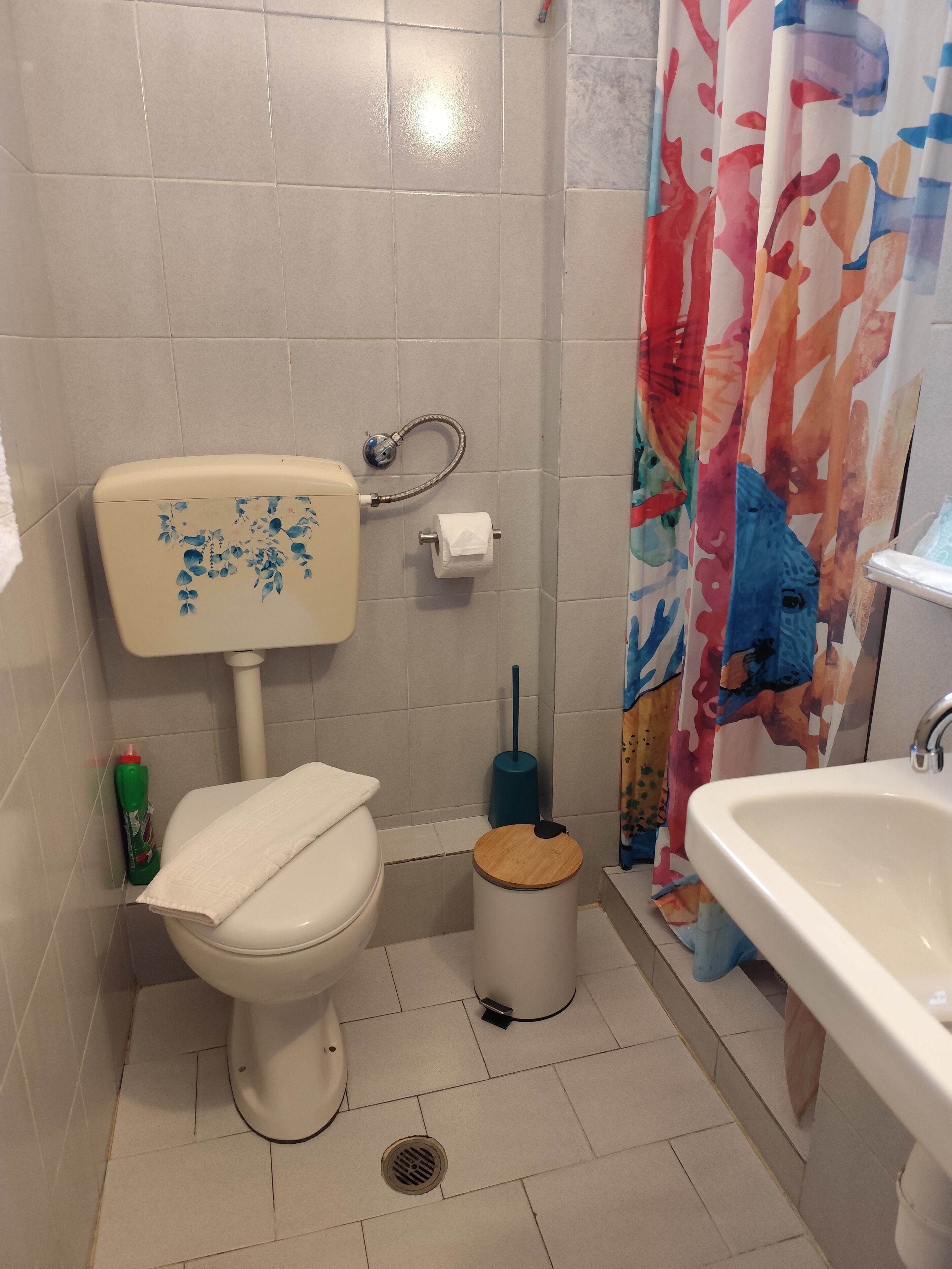 Une salle de bain équipée d’un WC, d’un lavabo, d’un rideau de douche et d’une brosse pour nettoyer les toilettes.