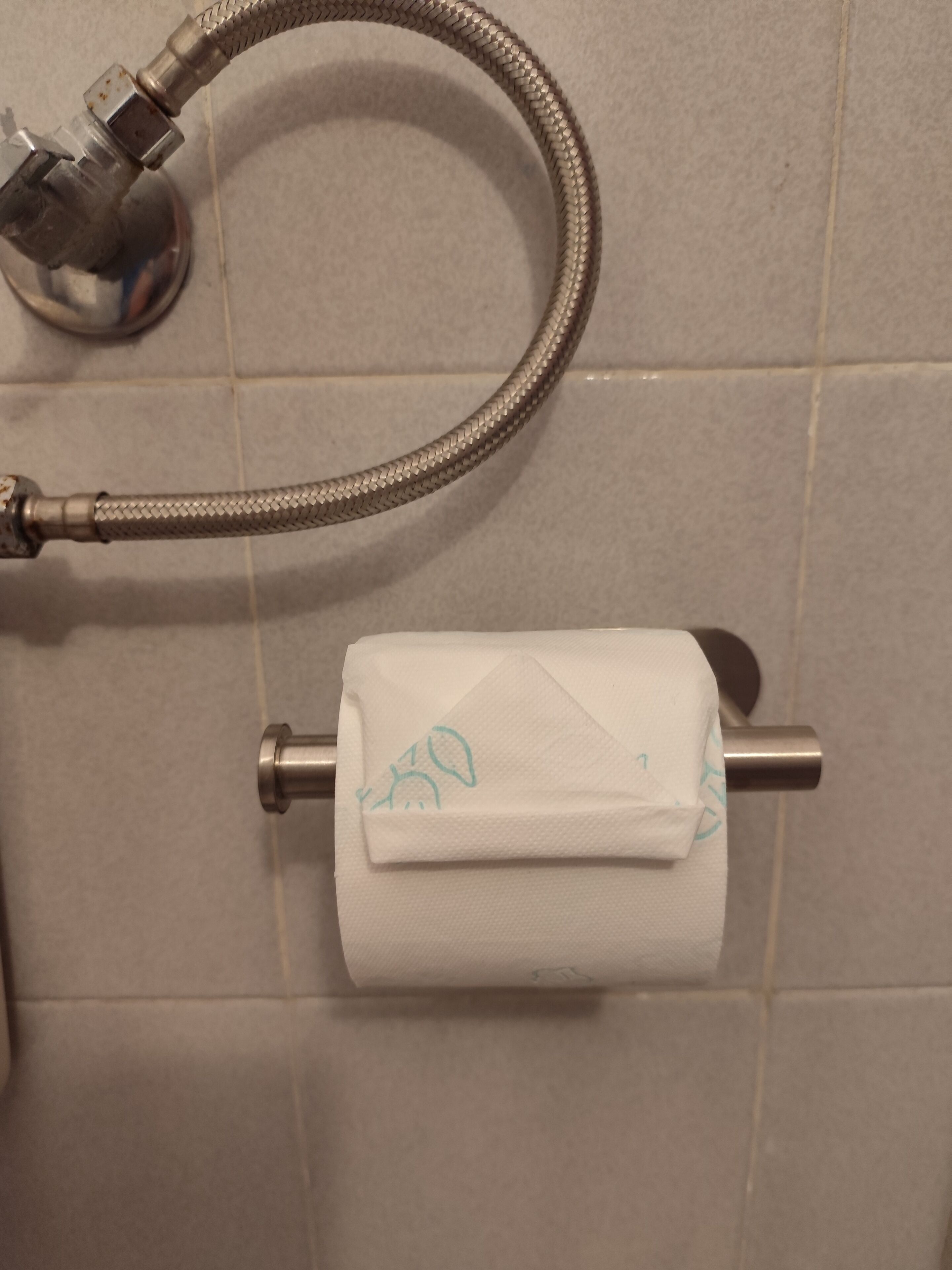 A bathroom with a toilet paper holder and a shower hose.