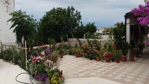 Un jardín en la azotea con plantas en macetas y suelo a cuadros.