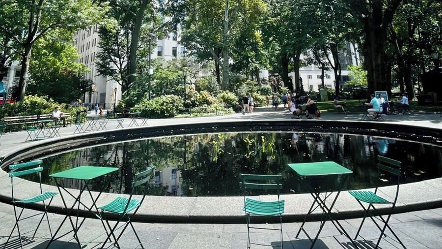 Salute de Madison Park Apartments