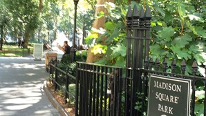 Opastekyltti, jossa lukee Madison Square Park, musta metalliaita ja taustalla puita.