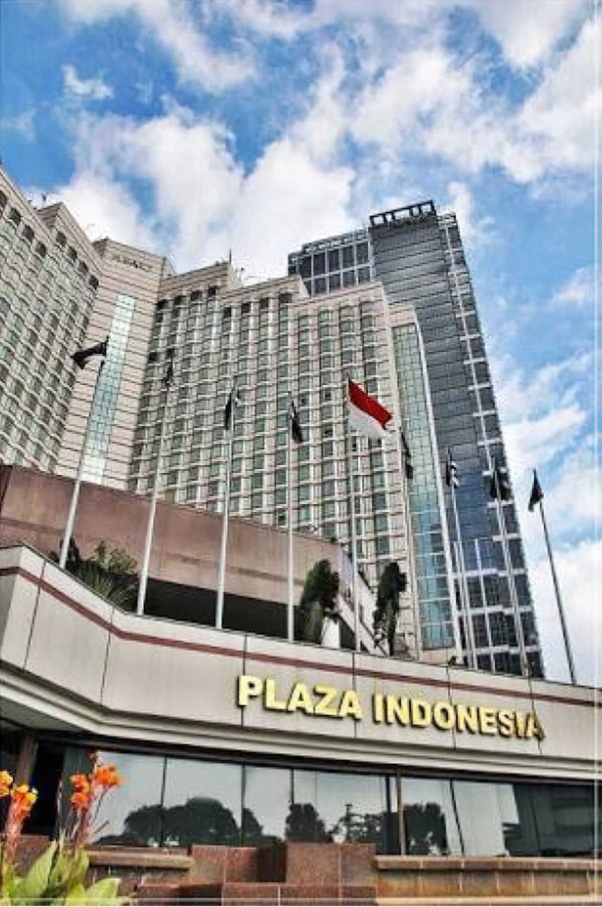 Land view from property