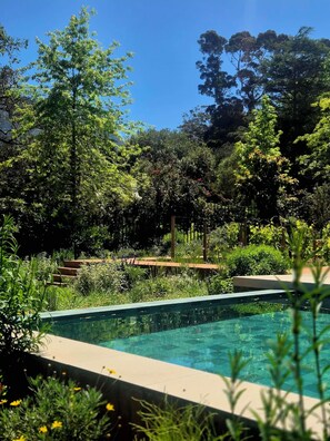 A swimming pool surrounded by lush greenery and trees. - New, stylish, 3 bedroom home, with infinity pool and Table Mountain views (Cape Town)