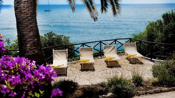Une vue sur la plage, avec une rangée de chaises longues, un palmier et un voilier sur l’eau.