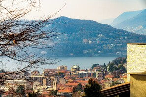 A cityscape with a view of a lake and mountains in the background.