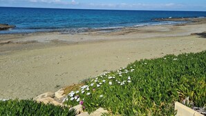 Ein Strand mit klarem, blauem Wasser, sandigem Ufer und grüner Vegetation im Vordergrund.