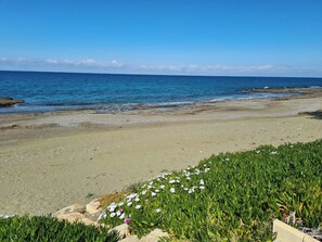 On the beach