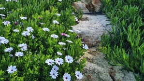 Ein Gartenweg führt zu einem Gebäude im klassischen Stil, mit Säulen und einem Balkon.