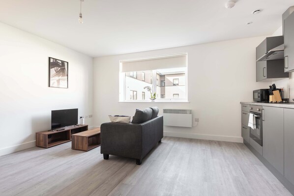 Fernseher, Arbeitsbereiche