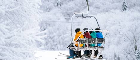 Sneeuw- en skisporten