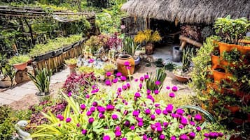 Útsýni yfir húsagarðinn