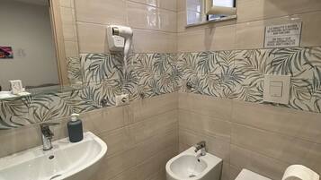 Shower, hair dryer, bidet, towels