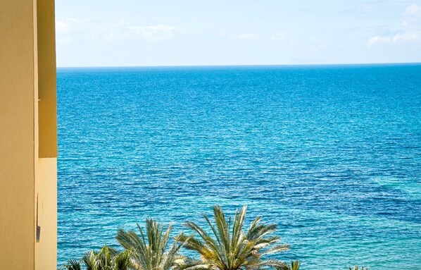 A view of the ocean from a balcony with palm trees in the foreground.