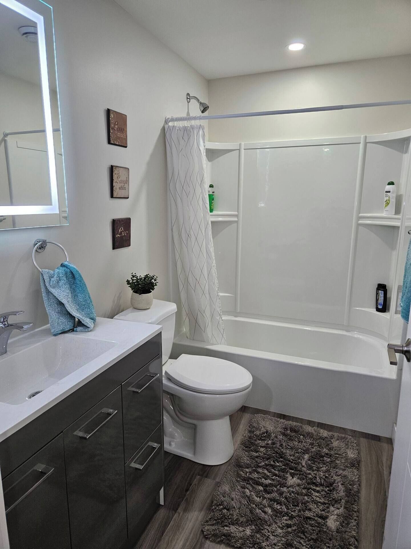 Hair dryer, towels, soap, shampoo