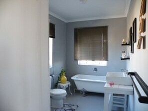 Shower, toilet paper