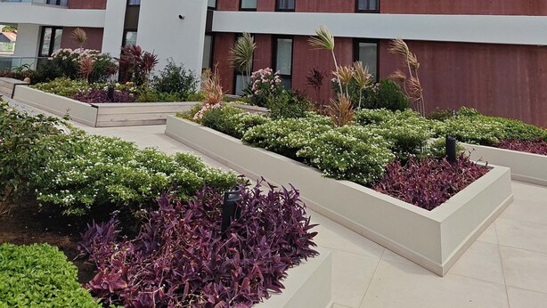Un edificio de varios pisos con un diseño arquitectónico moderno, que presenta una combinación de paredes exteriores rojas y blancas, ventanas amplias y un jardín ajardinado con diversas plantas.