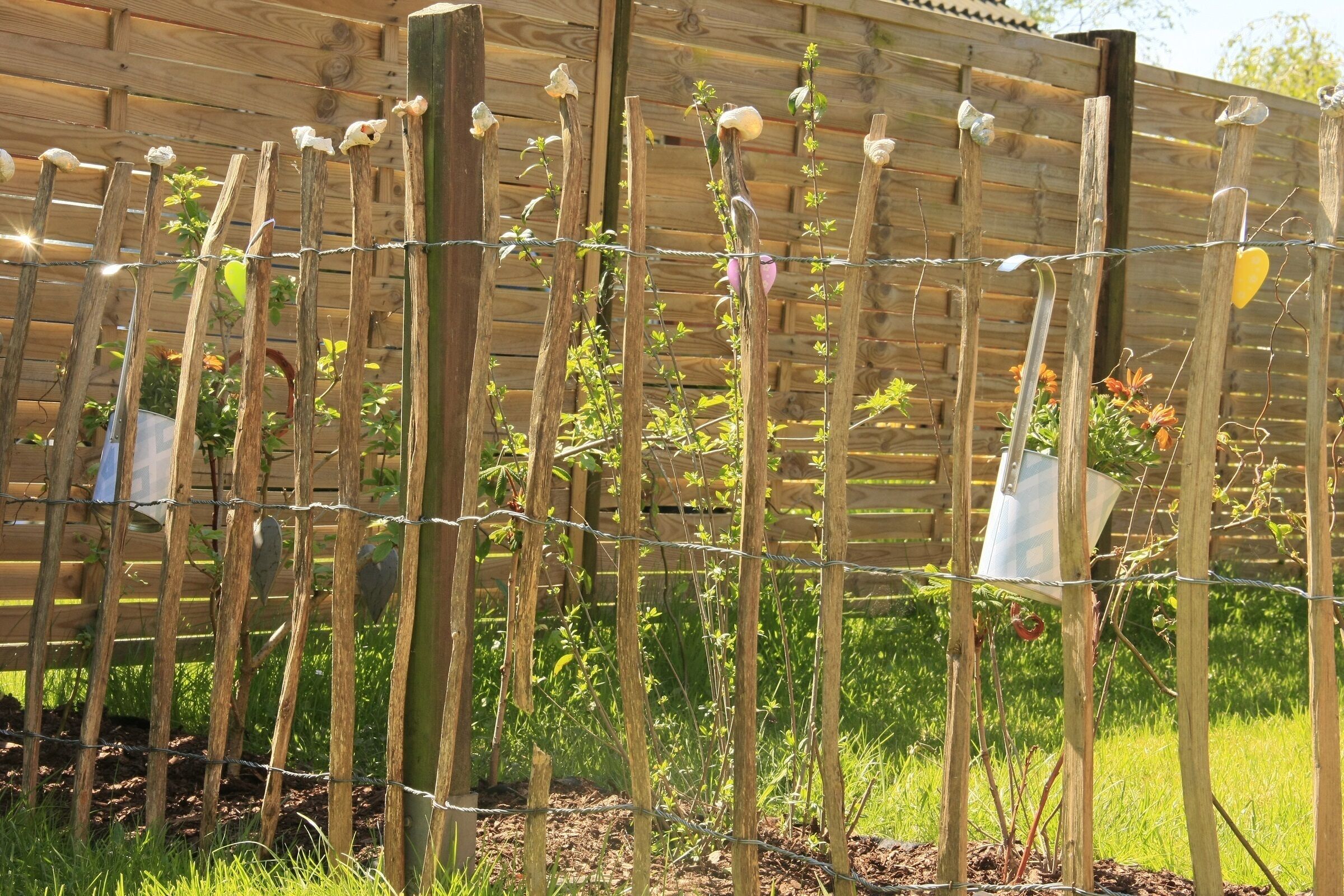 A garden with a wooden fence and plants growing vertically.