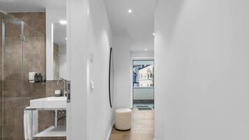 Shower, hair dryer, towels
