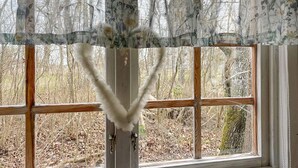 A window with a floral curtain and a white fluffy object hanging in front. - 1 bedroom gorgeous home in Romakloster (Romakloster)